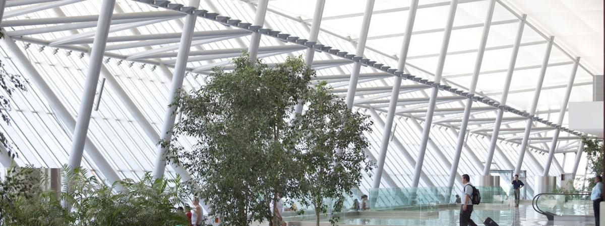 Aeropuerto Internacional De Carrasco
